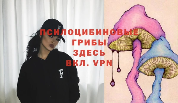 2c-b Покачи